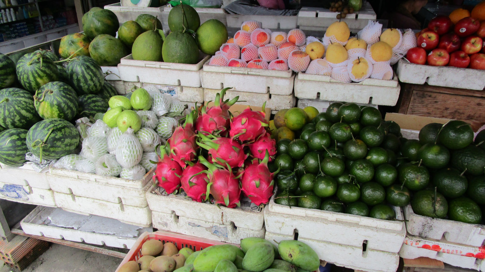 Vietnam2014-570.jpg - Bemærk Drage frugten