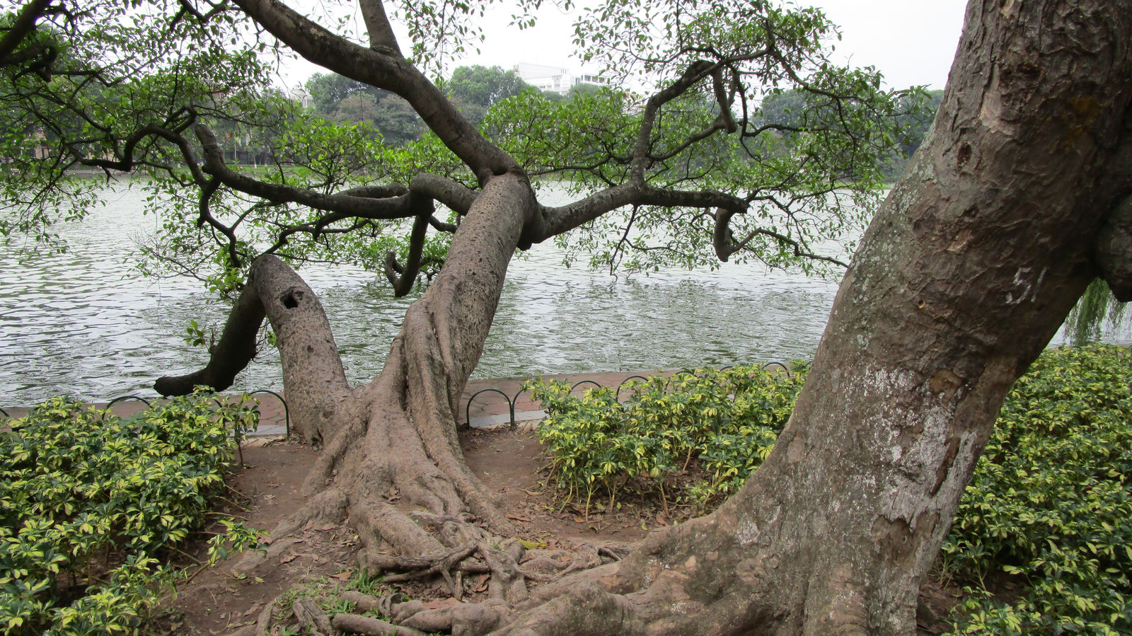Vietnam2014-149.jpg
