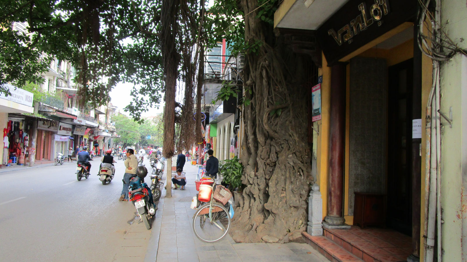 Vietnam2014-161.jpg - De tager hensyn til naturen. Bemærk træet
