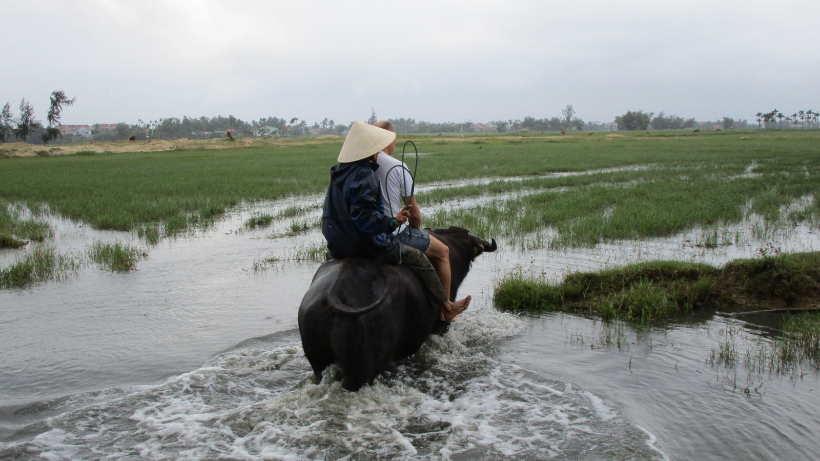 Vietnam2014-456.jpg - Afgang