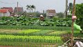 Vietnam2014-444