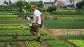 Vietnam2014-447