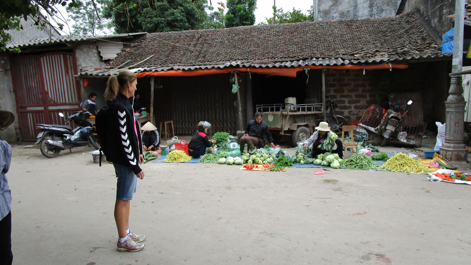 Vietnam2014-388.jpg - Grønt