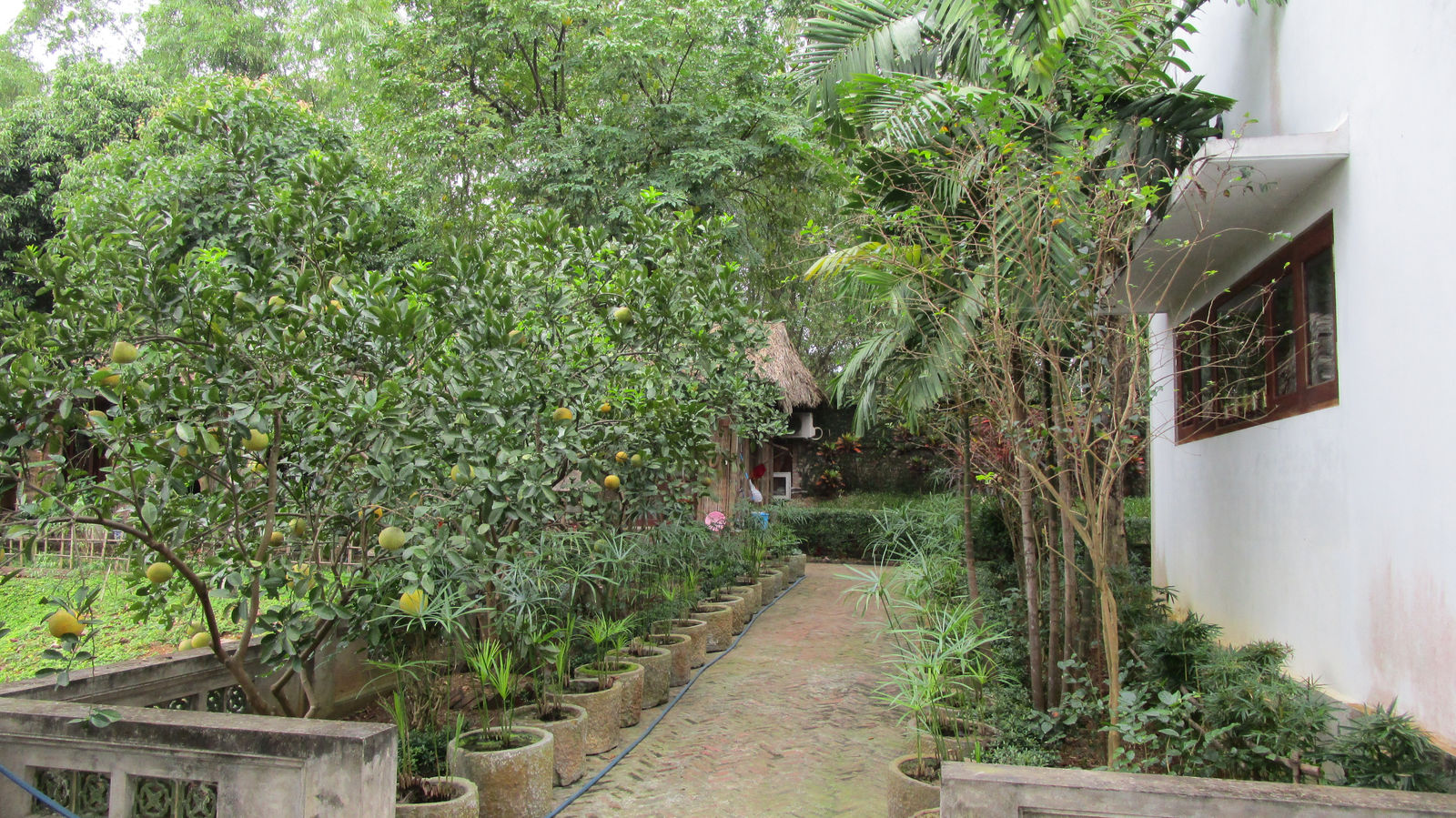 Vietnam2014-403.jpg