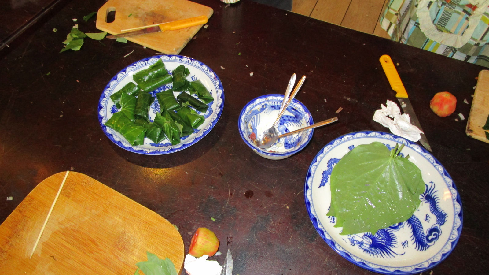 Vietnam2014-409.jpg - Eller i blade (eks. vinblade)