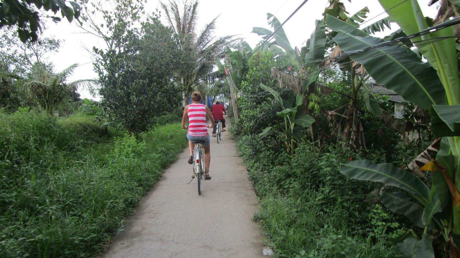 Vietnam2014-832.jpg - Hovedvejen på øen vi besøgte