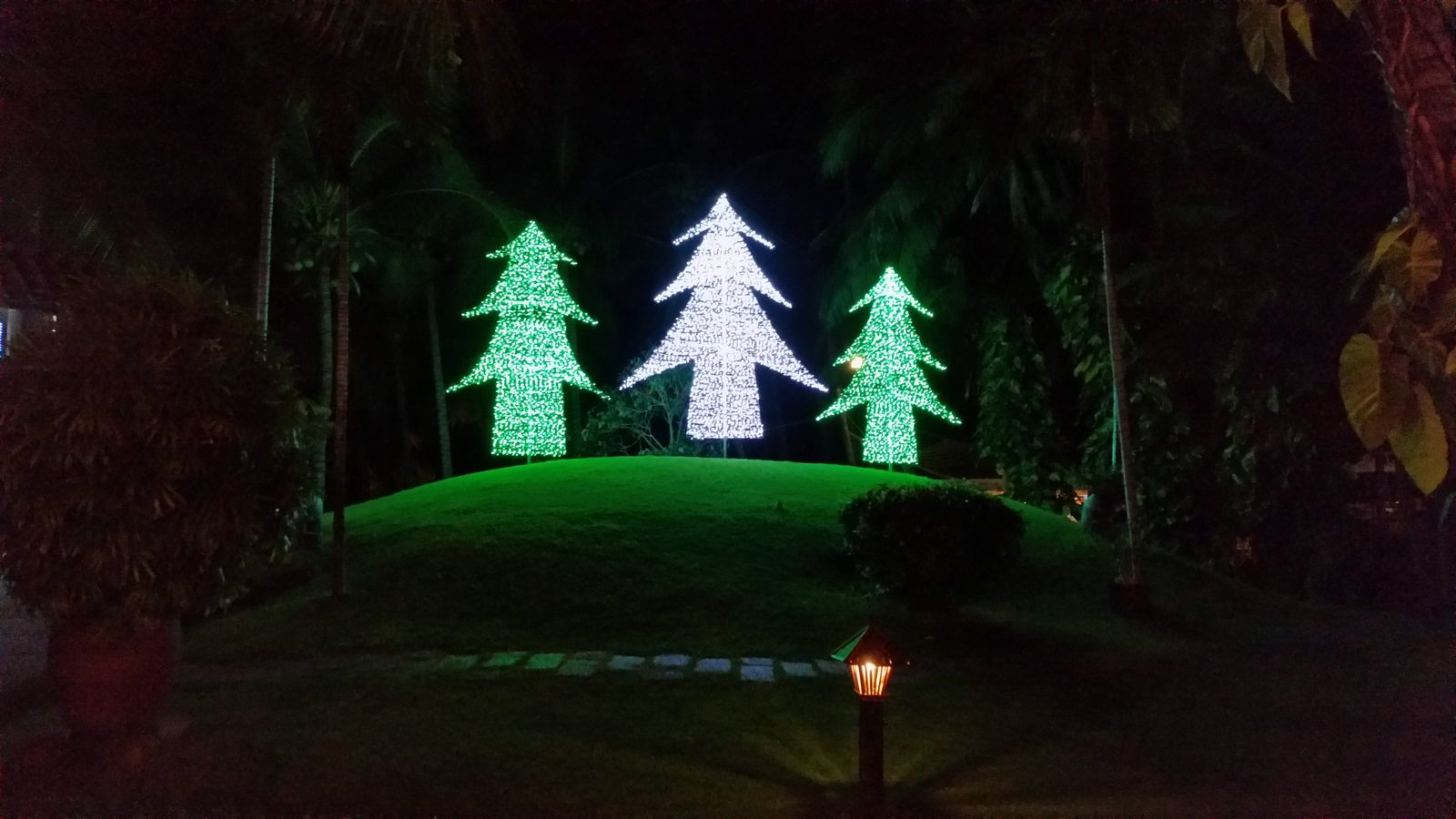 Vietnam2014-705.jpg - Juletræer?