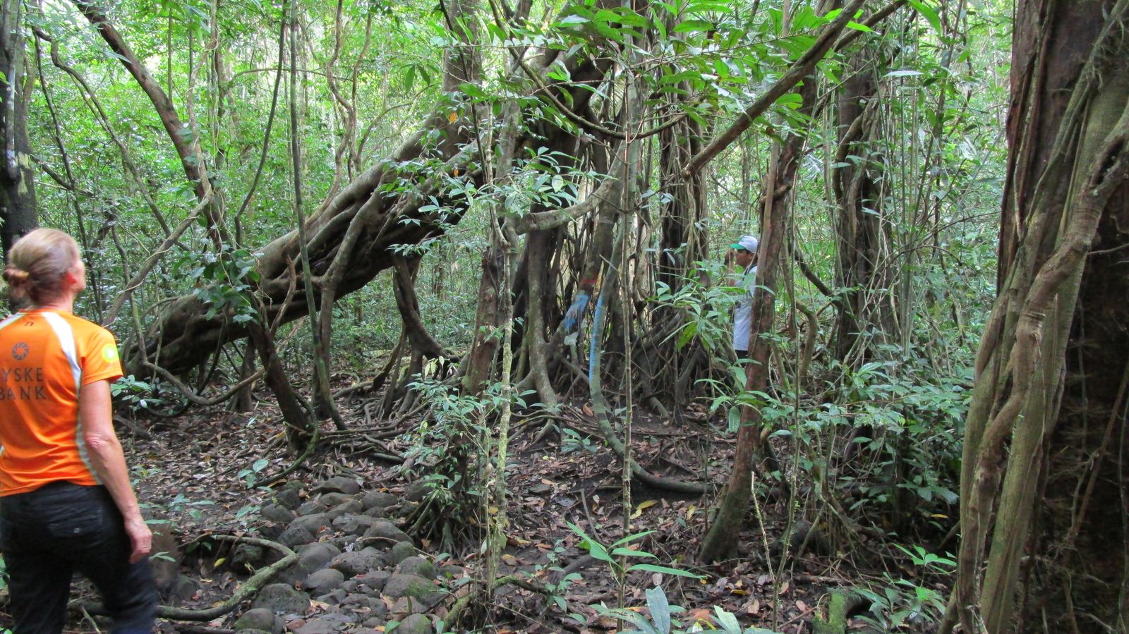 Vietnam2014-607.jpg - Eller gro som her