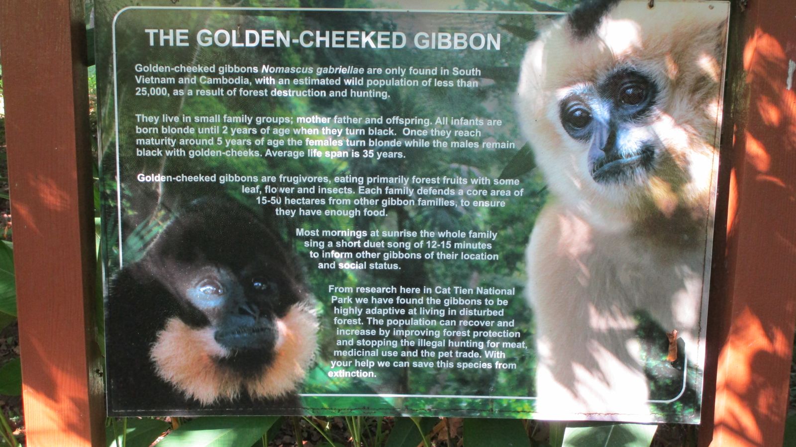 Vietnam2014-632.jpg