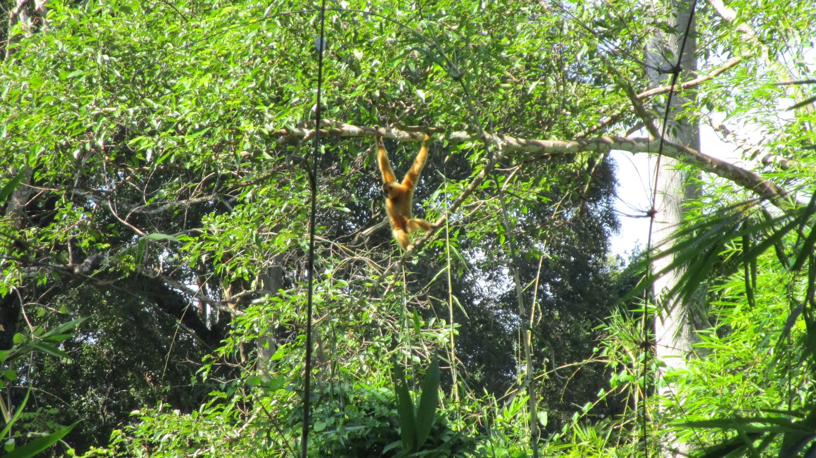Vietnam2014-634.jpg - Næsten klar til at komme over på den anden side af floden