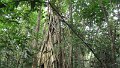 Vietnam2014-605