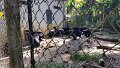 Vietnam2014-641