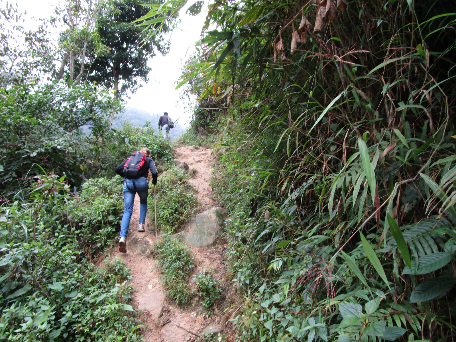 Vietnam2014-200.jpg - Vandring i stejlt terræn