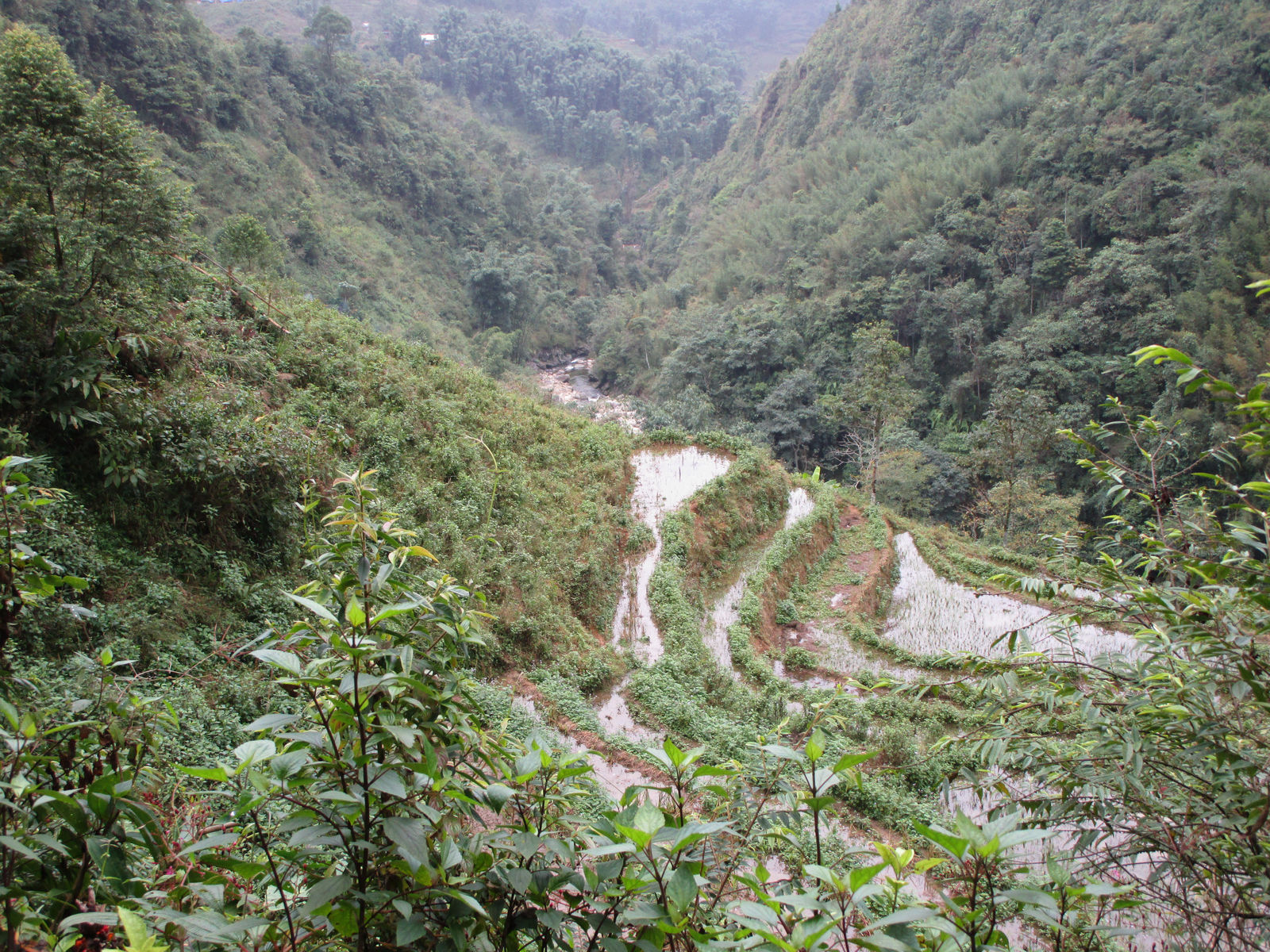 Vietnam2014-203.jpg