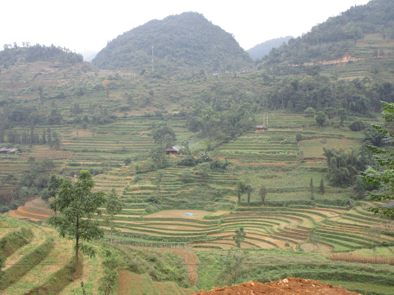 Vietnam2014-237.jpg