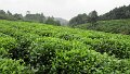 Vietnam2014-255