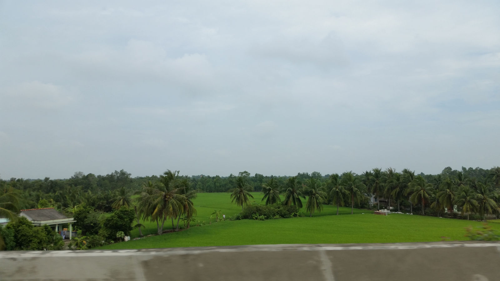 Vietnam2014-790.jpg - Syd Vietnam