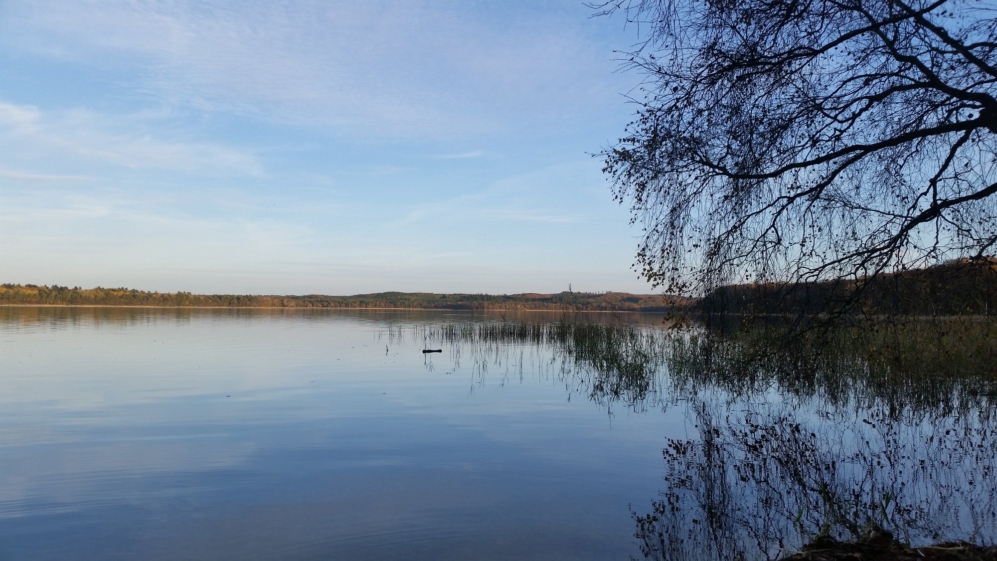 20151026_155958.jpg - En smut forbi Madum sø. Meget rent vand.