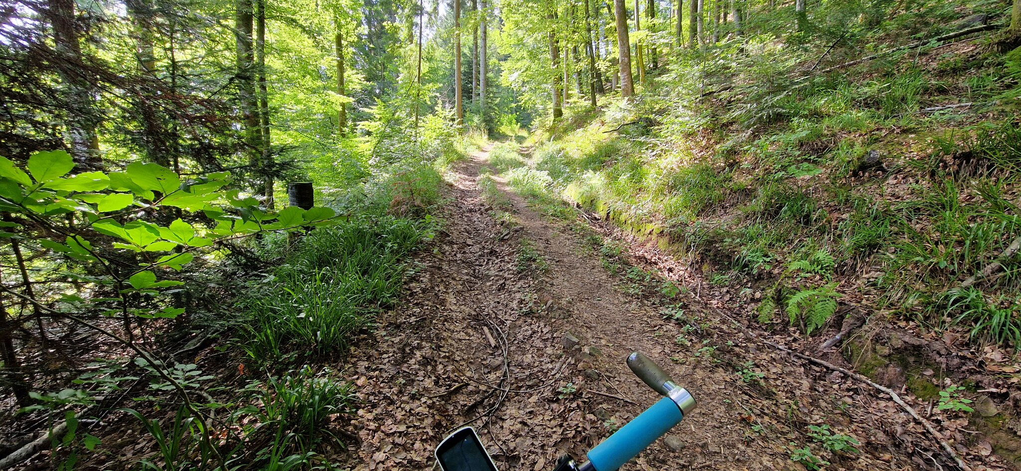 20220728_105936.jpg - På cykel eventyr i Scharzwalds bjerge